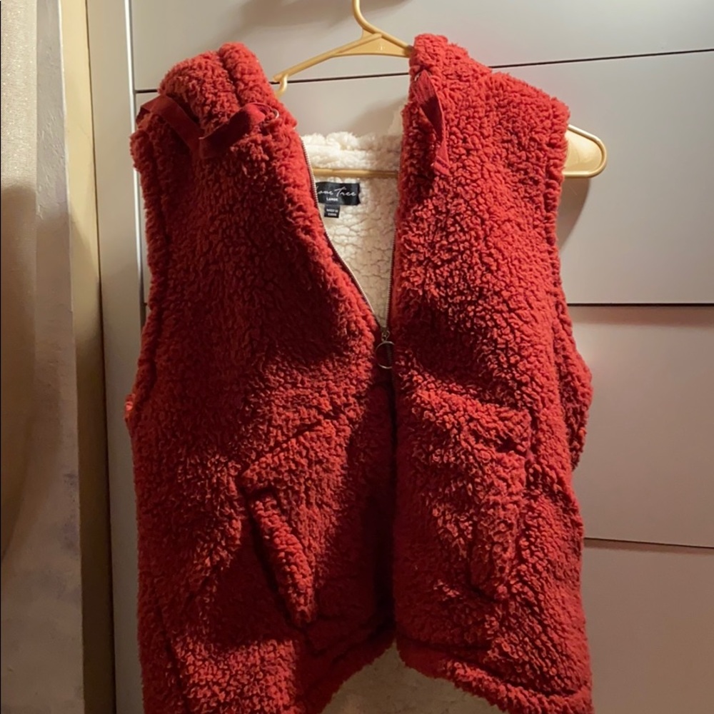 Teddy Bear Vest